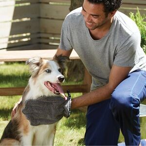 Gray Pet towel and mitt